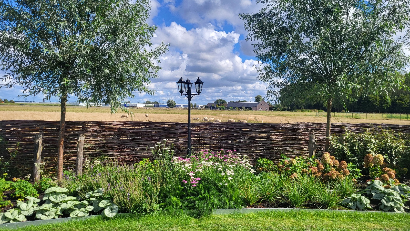 Prachtige tuin met bloeiende planten